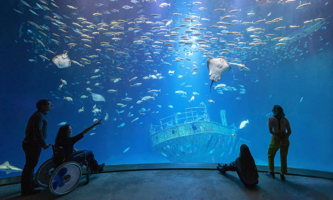 9 aquariums in Germany to dive into