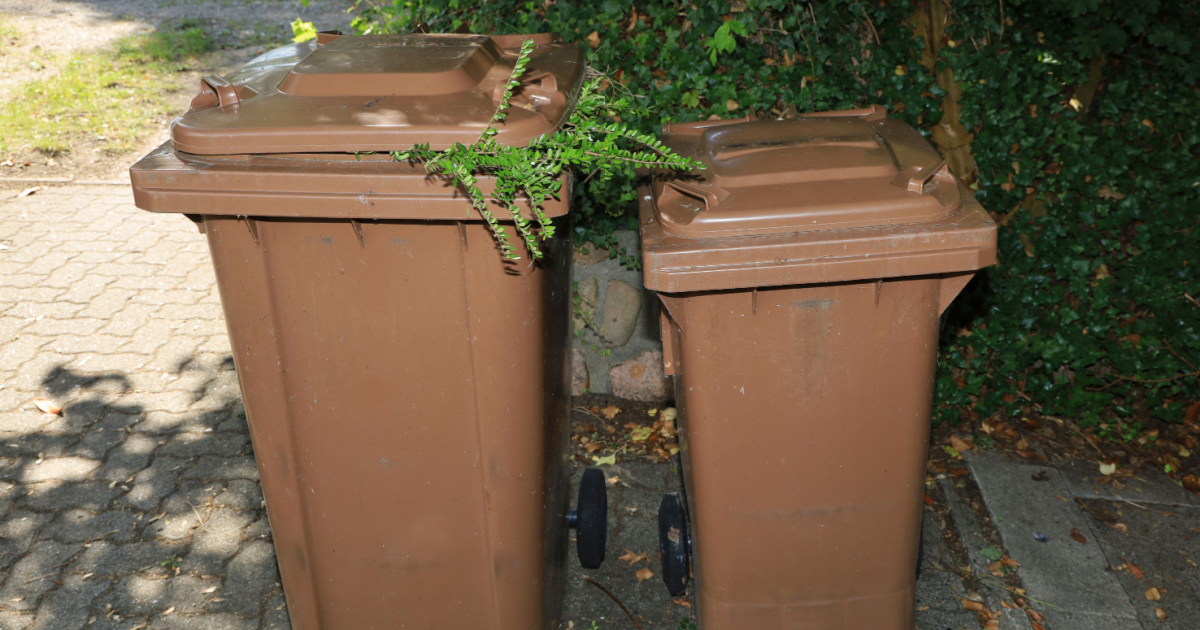Scottish wheelie bin mysteriously appears in German village