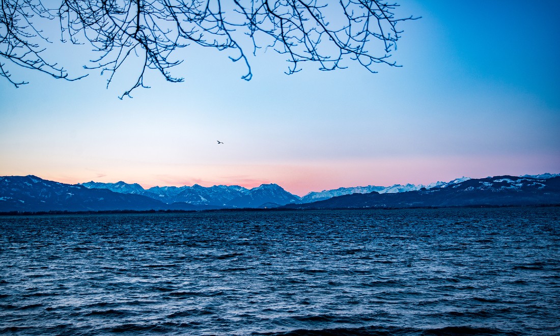 Cunning thieves steal gin ball from Lake Constance