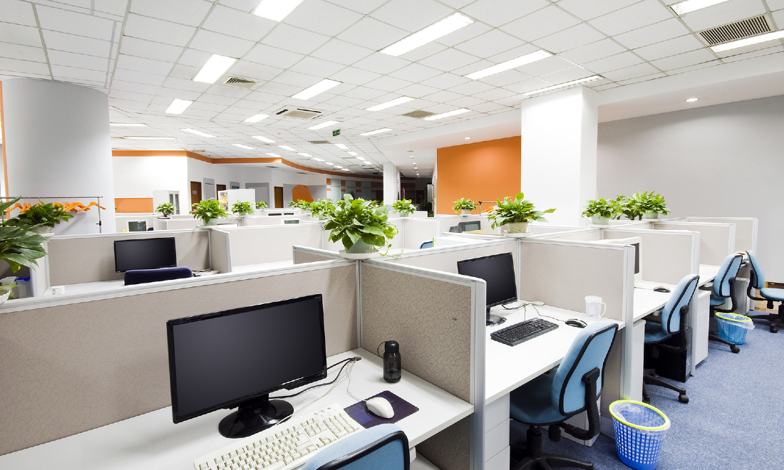 An expat survival guide to the German workplace