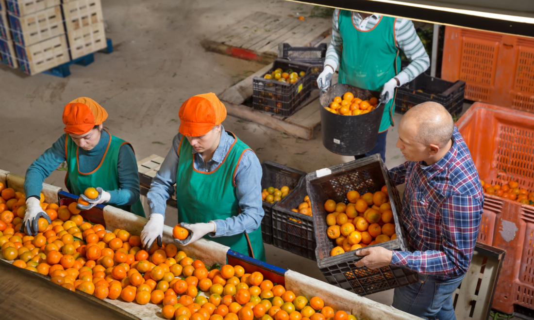 Berlin company set to make world’s biggest-ever fruit salad
