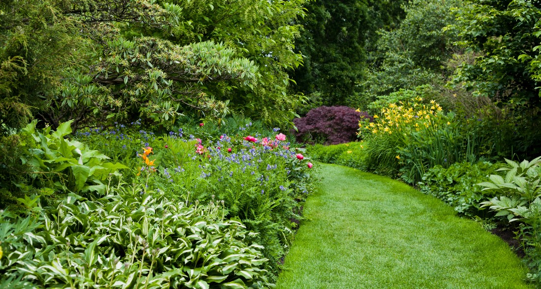 8 beautiful botanical gardens in Germany