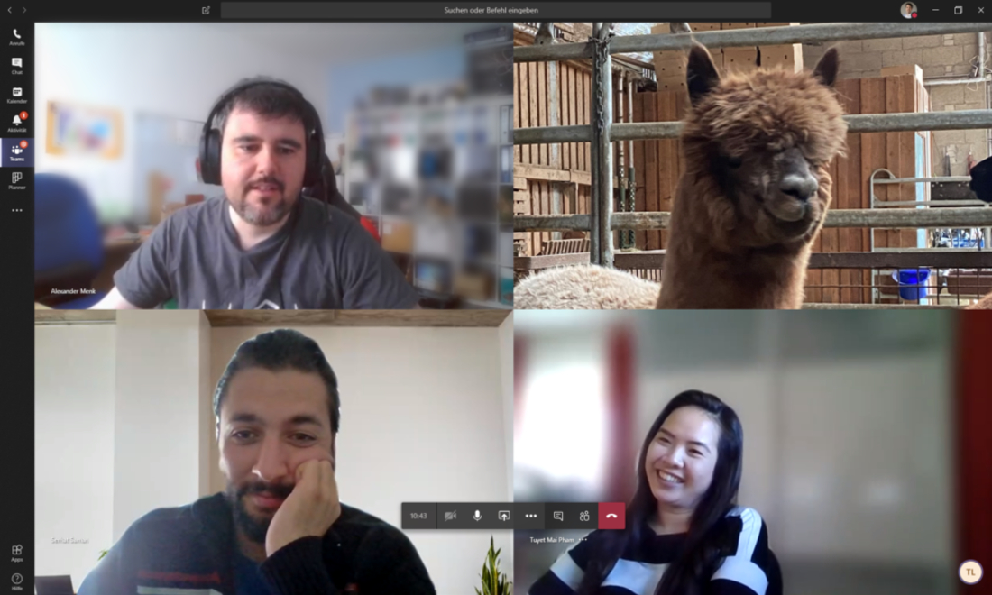 German farm offering video calls with alpacas during coronavirus shutdown