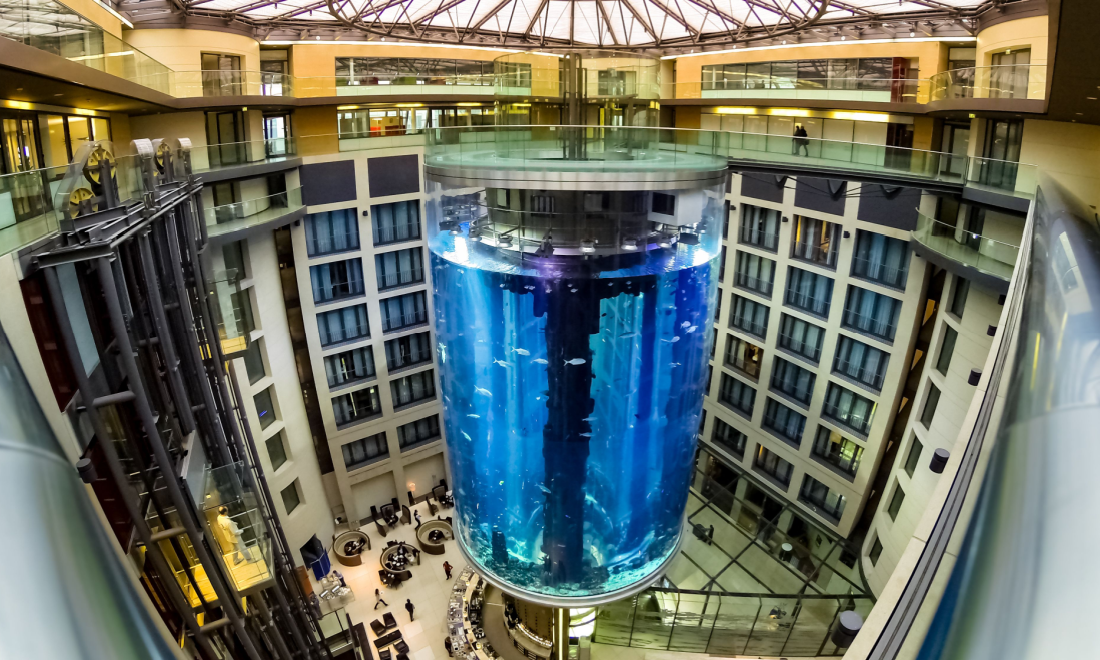 Exploded Berlin fish tank to be transformed into hanging garden