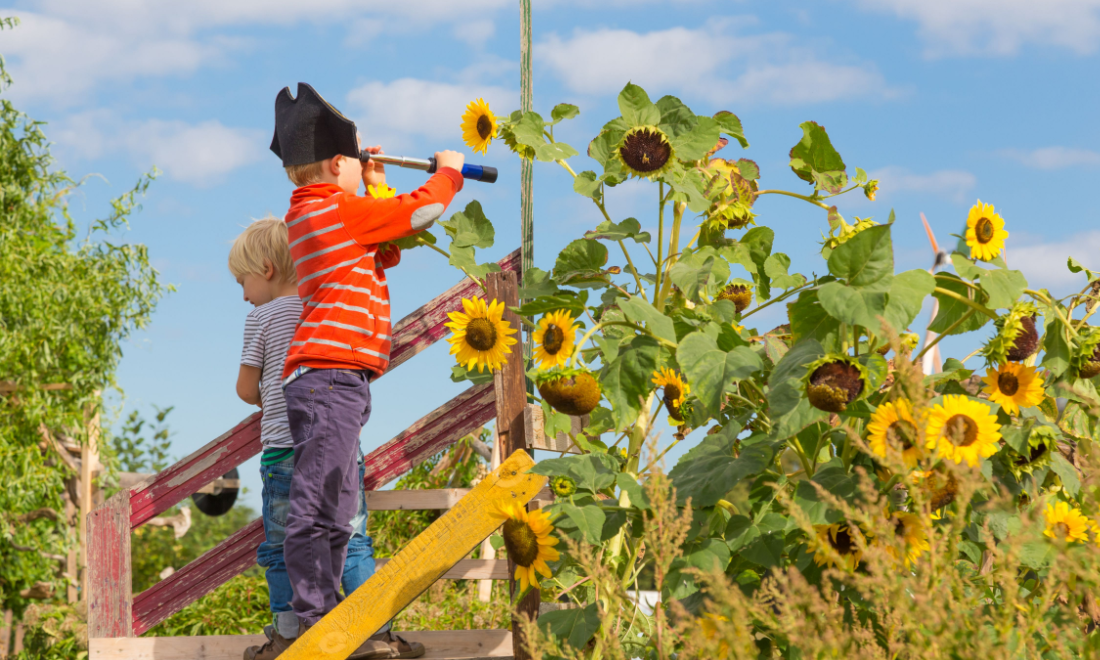 9-euro summer pass goes on sale for Berlin kids