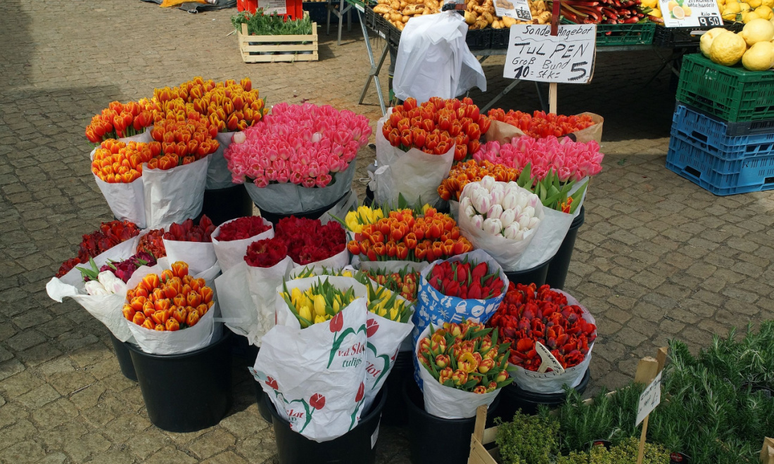 5 ways to make the most of spring in Germany