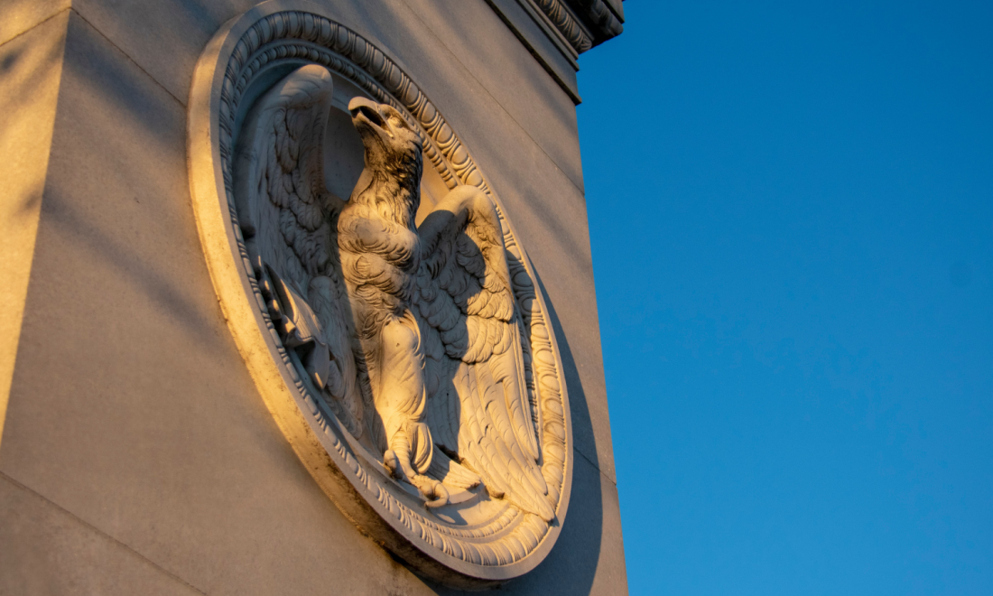 The German national animal and other wildlife in Germany