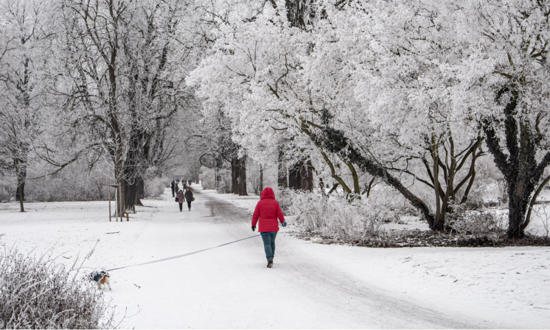 Ice warnings issued as more snow forecast for northern Germany