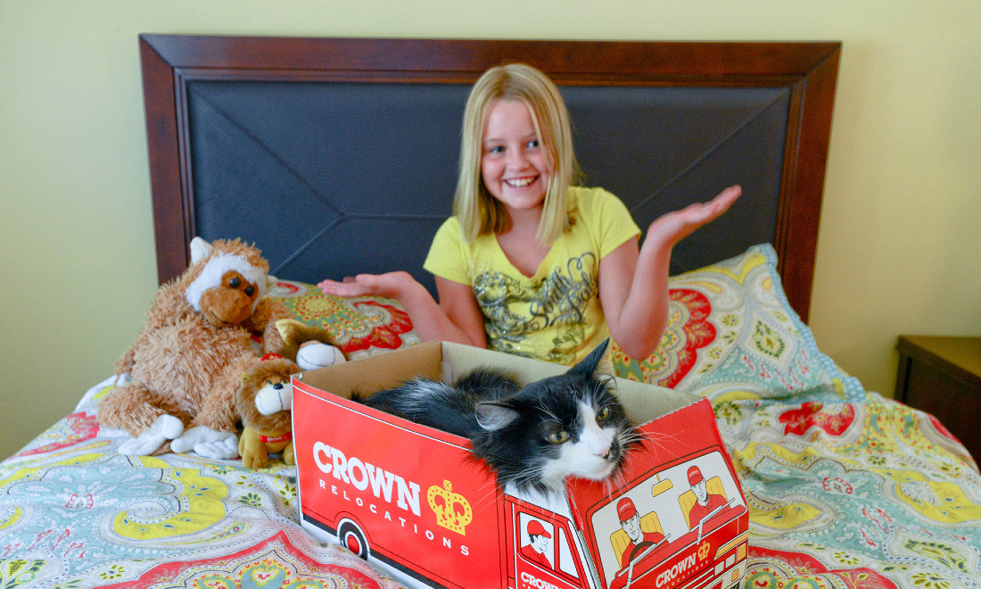 6 questions to ask yourself before relocating with pets