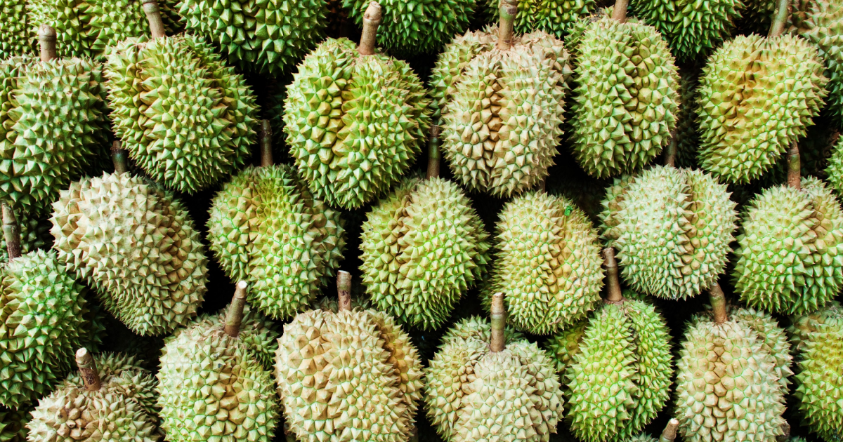 Wiesbaden firefighters called four times in one day over durian smell