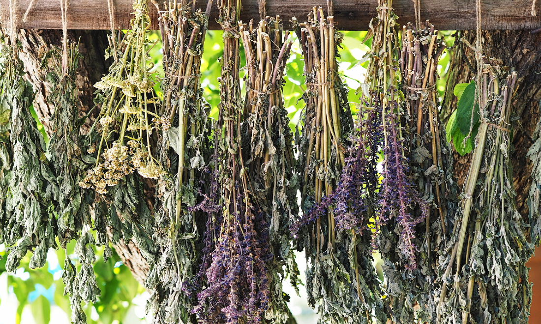 What is being marked on Assumption Day in Germany?