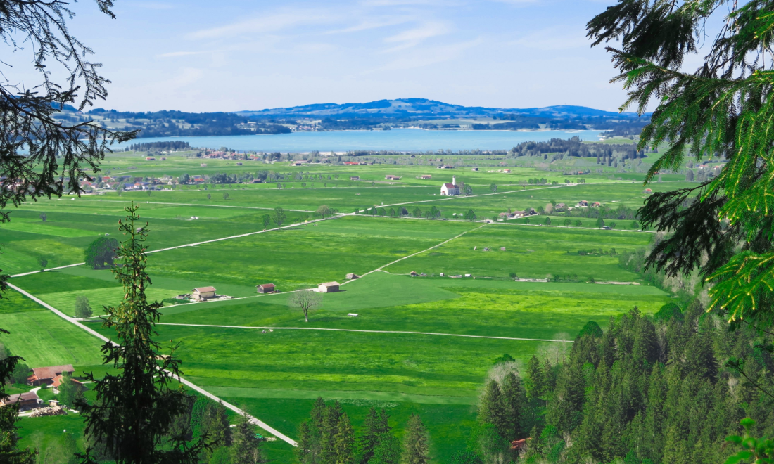 Housing crisis: Minister urges residents to move to German countryside