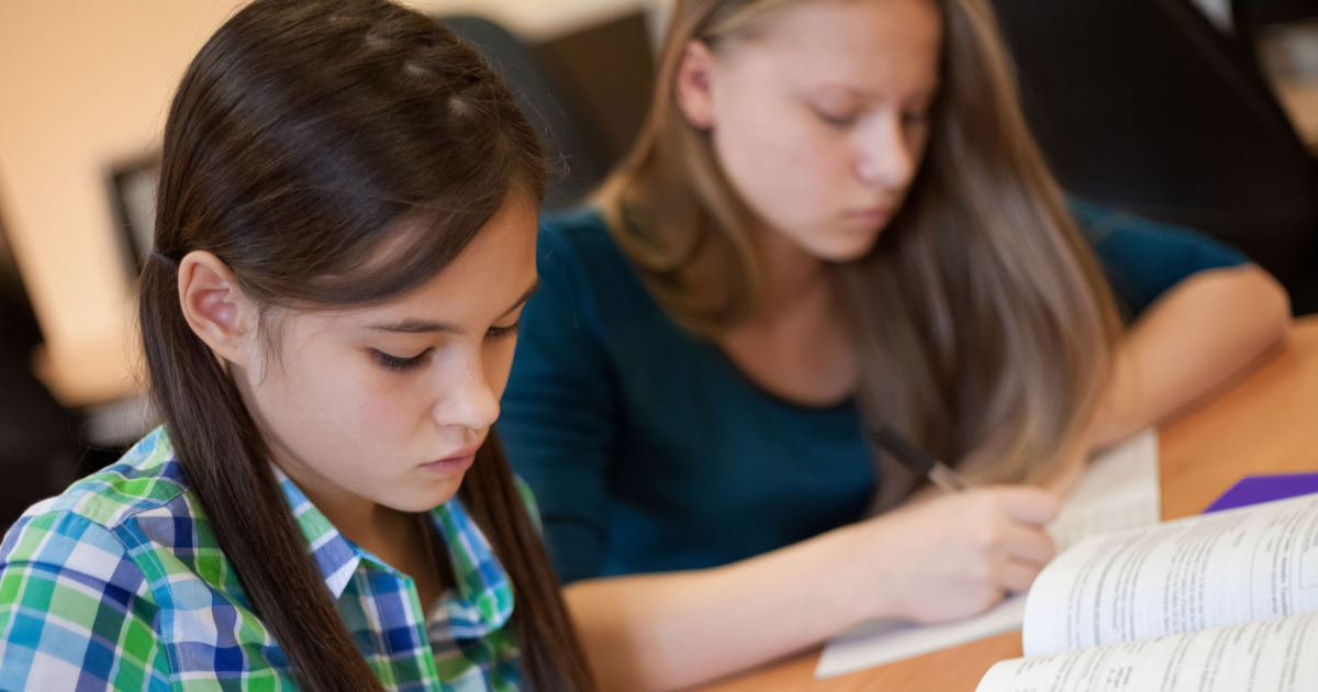 German schoolchildren should be taught how to prepare for crises, says minister