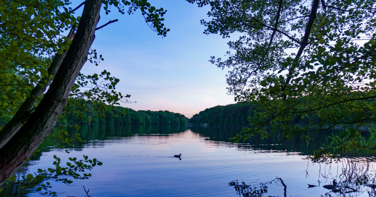 5 best Berlin lakes for swimming